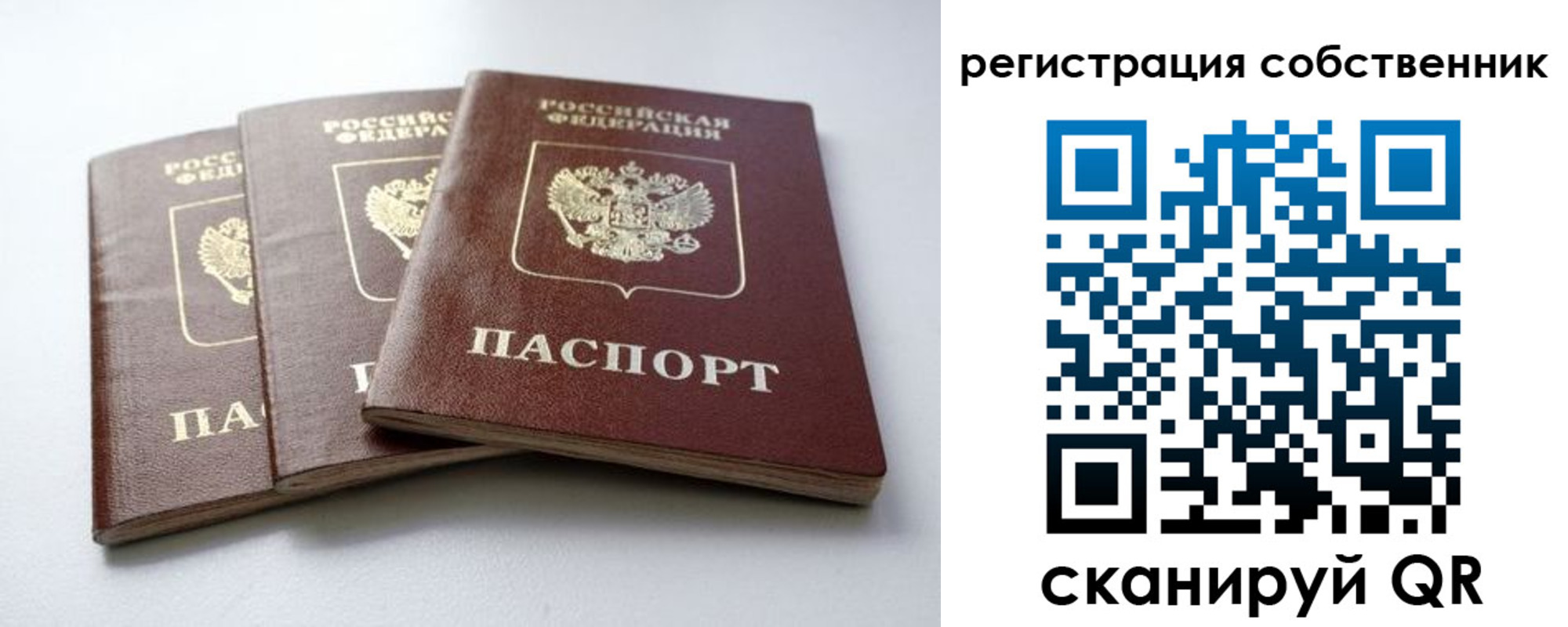 прописка для школы в Крыму